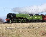 A1 Steam Loco Tornado 9Y487D-105